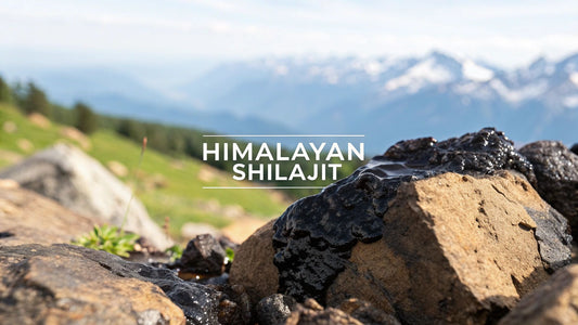What Is Himalayan Shilajit: A Complete Guide on How to Use It