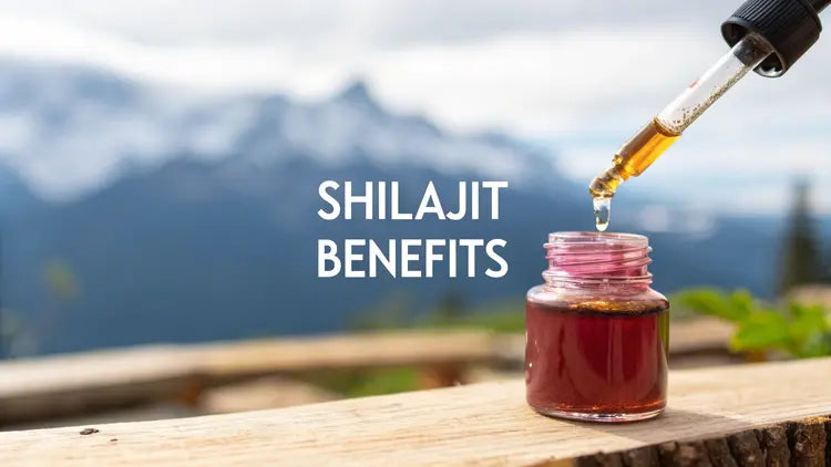 Shilajit Benefits: Boost Energy & Wellness Naturally