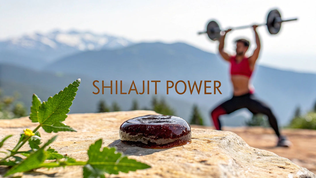 6 Shilajit benefits for men You Should Know