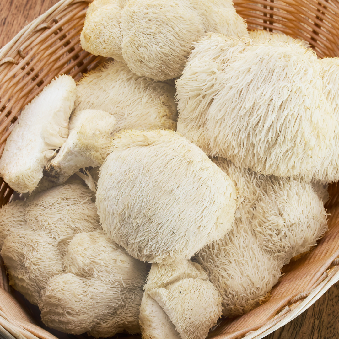 Lion's Mane: The Mushroom That Could Boost Your Brain, Mood, and Immune System